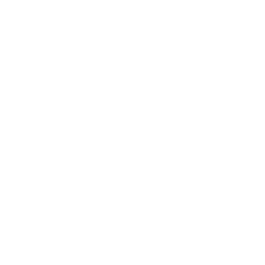 Verity Metals